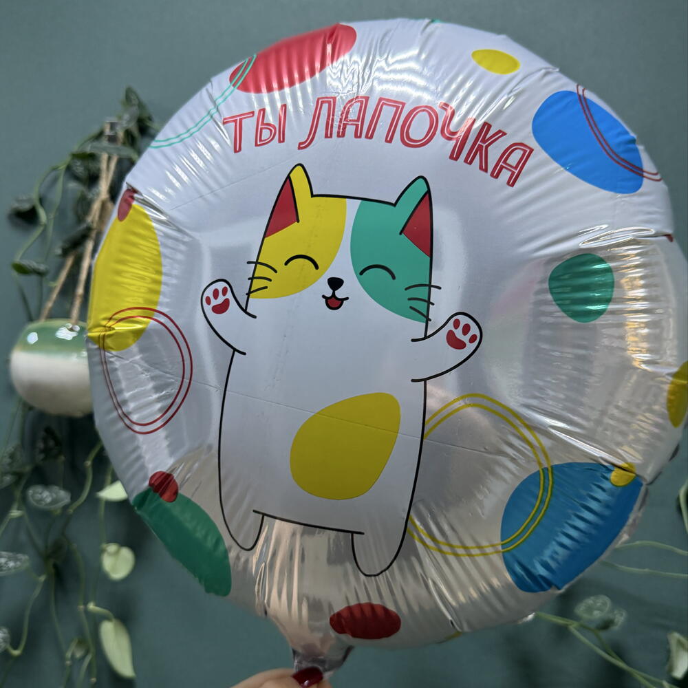 Шар «ты лапочка»