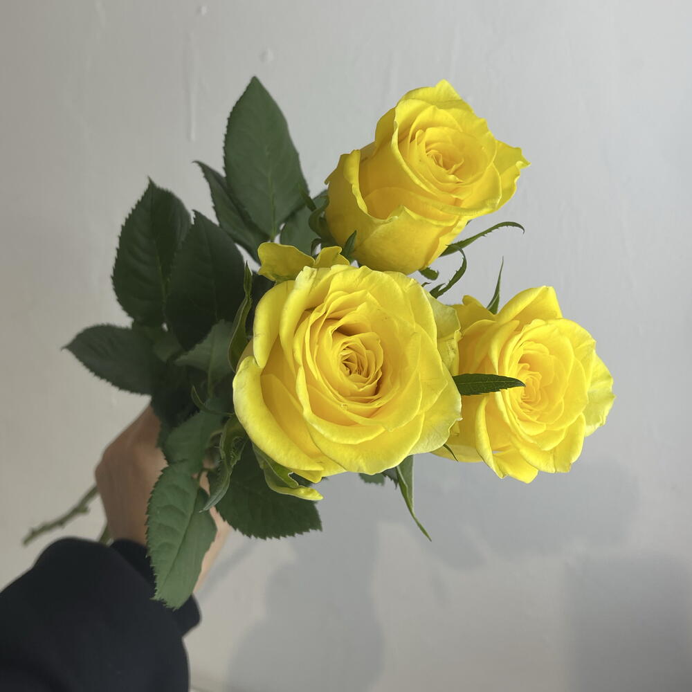 Розы жёлтые 💛 3