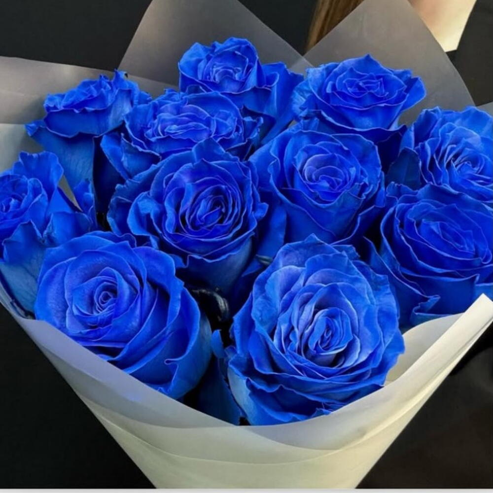 Синие розы💙