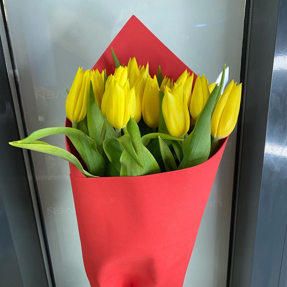 Тюльпан 19
