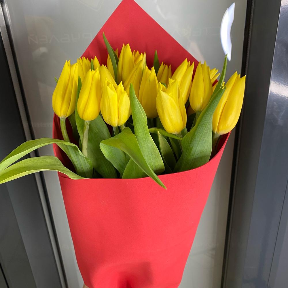 Тюльпан 19