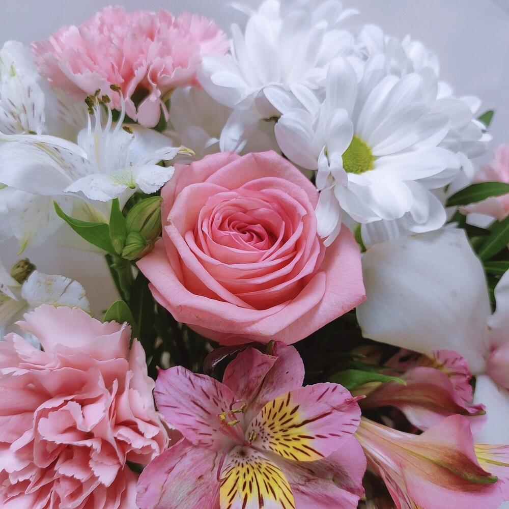 Нежность🌸