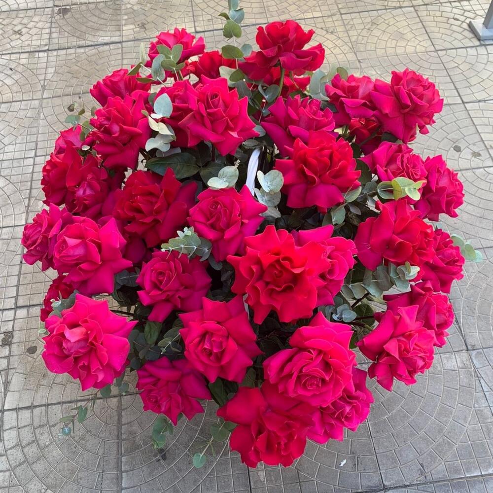 Малиновая мечта