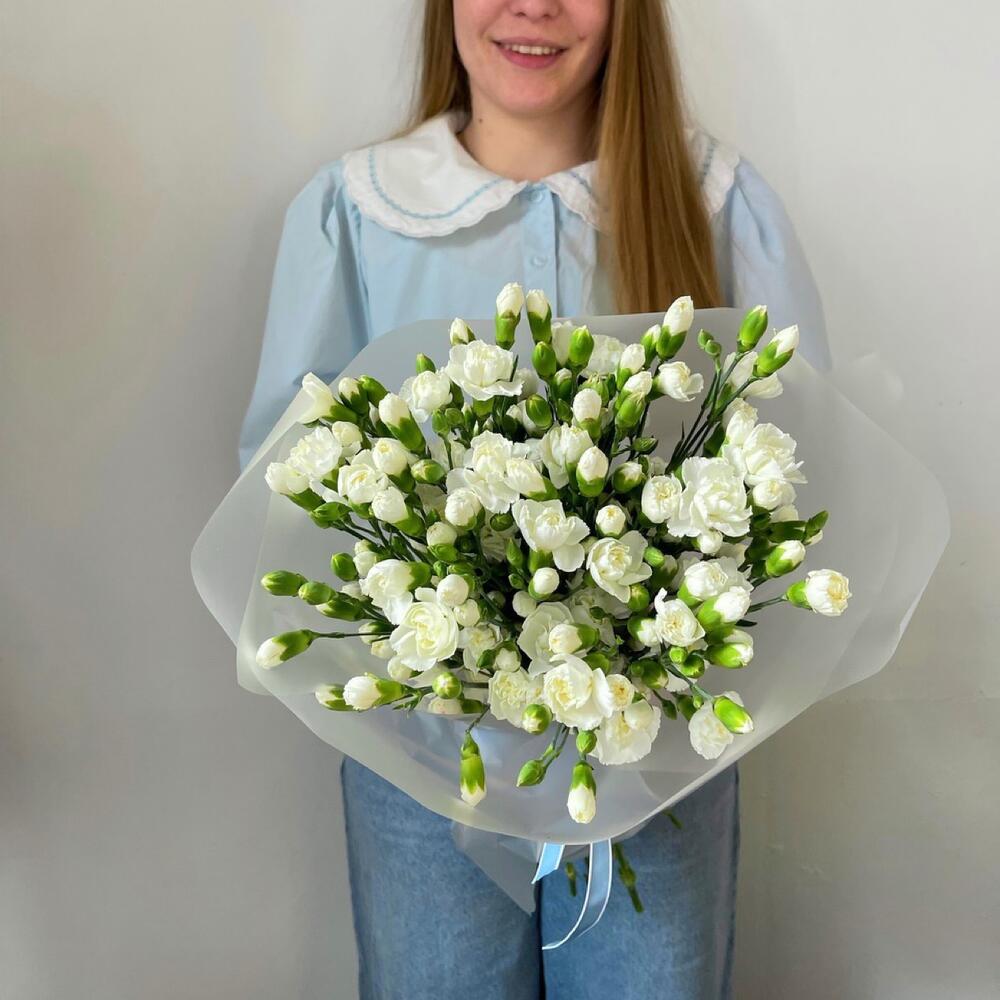 25 кустовых гвоздик