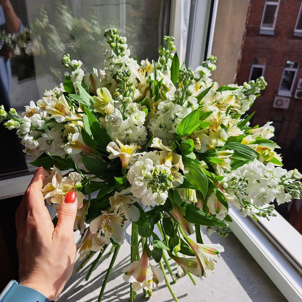 Mattiola and Alstroemeria