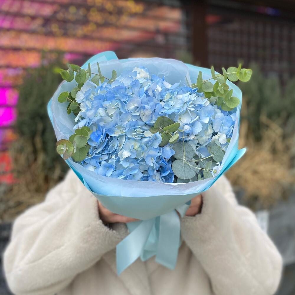 Голубые  гортензии 💙