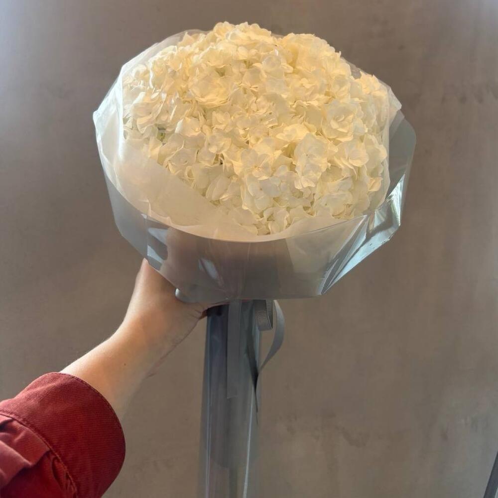 Монобукет «White bubble»