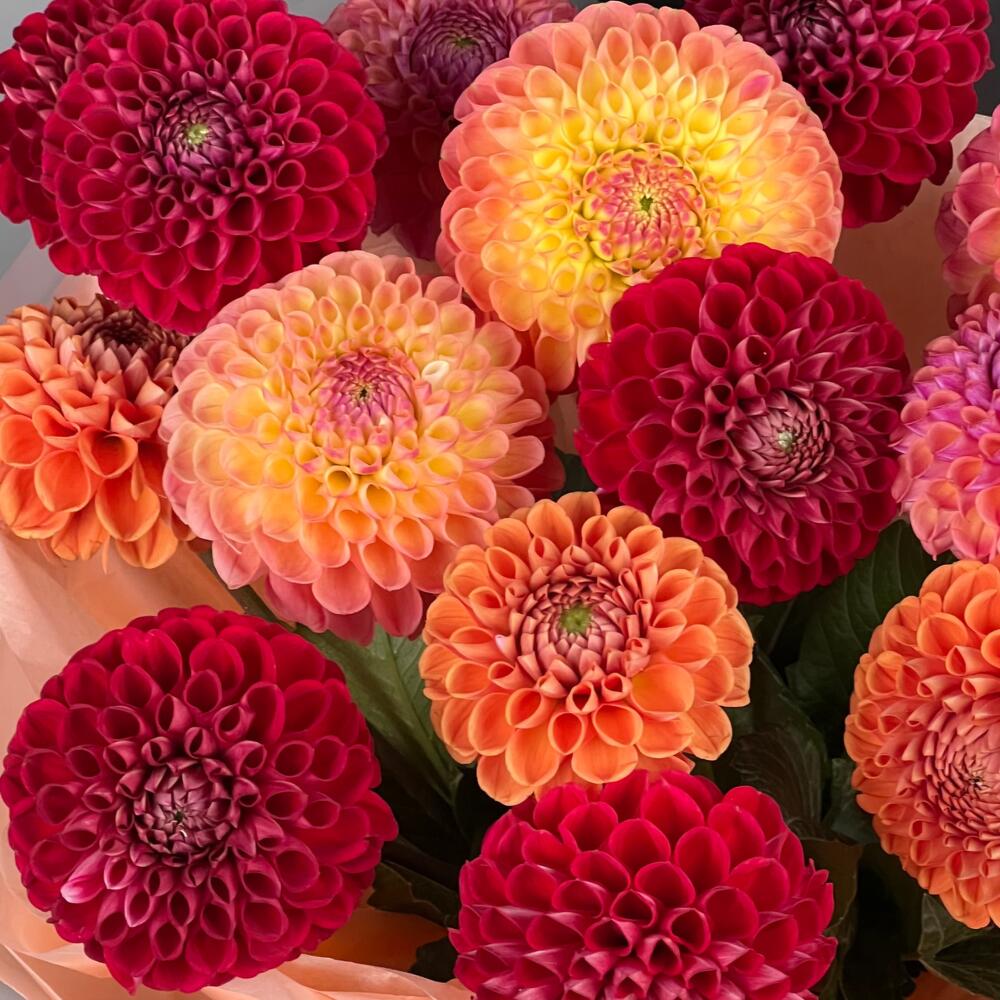 Цветы Букет Art Flowers Тёплое Письмо
