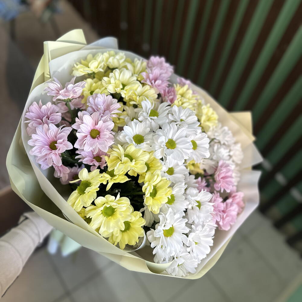 Микс кустовых хризантем (9)