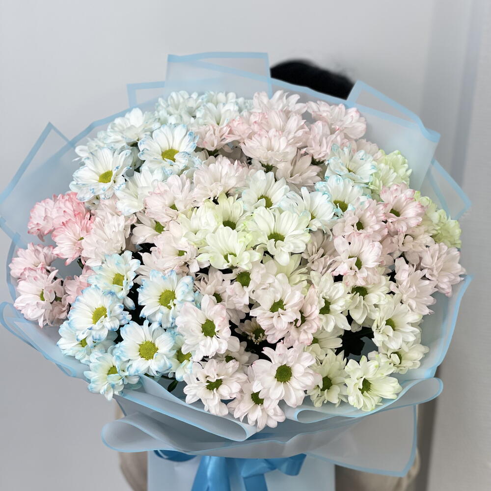 Букет из хризантемы ромашка 13 шт 🌸