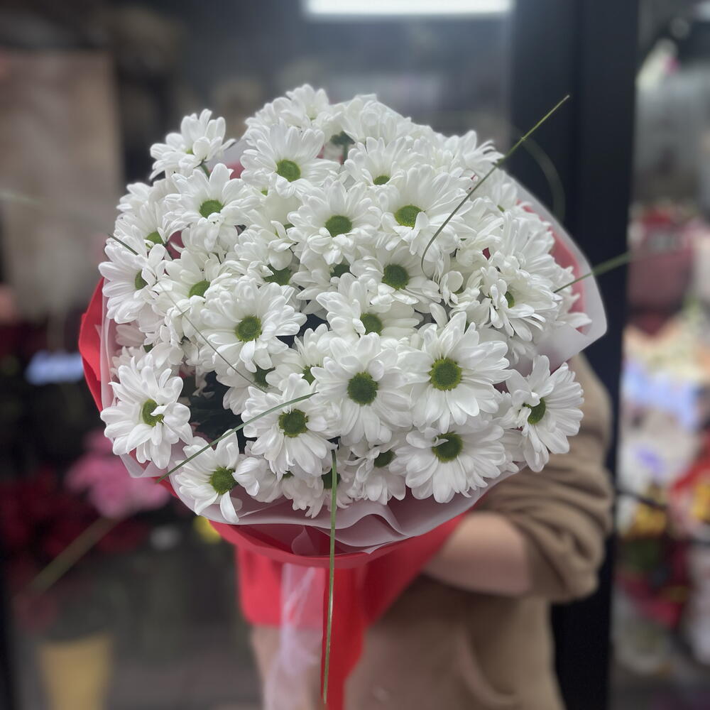 Ромашки