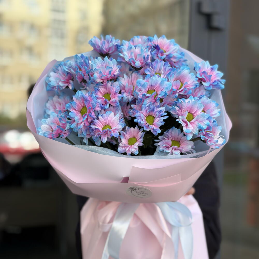 ≈ 51 ромашка Бабл гам