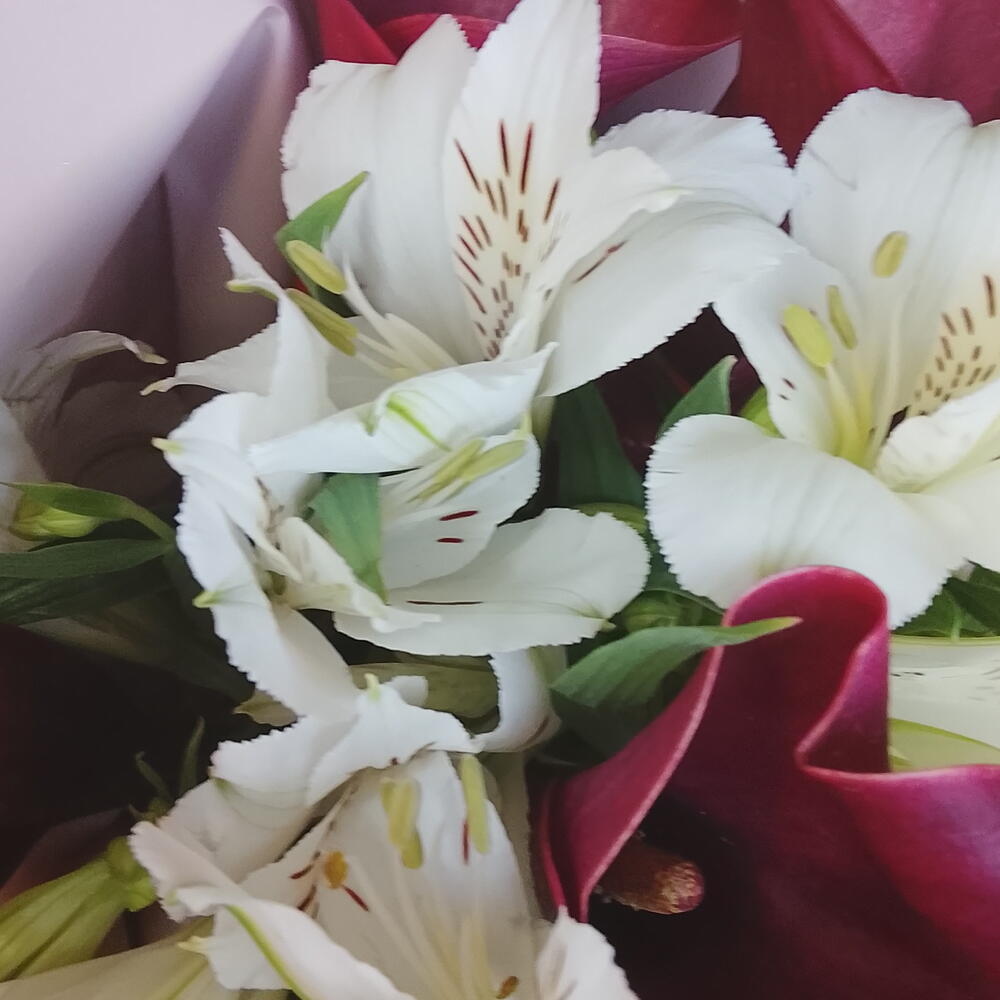 Калла с альстромерией