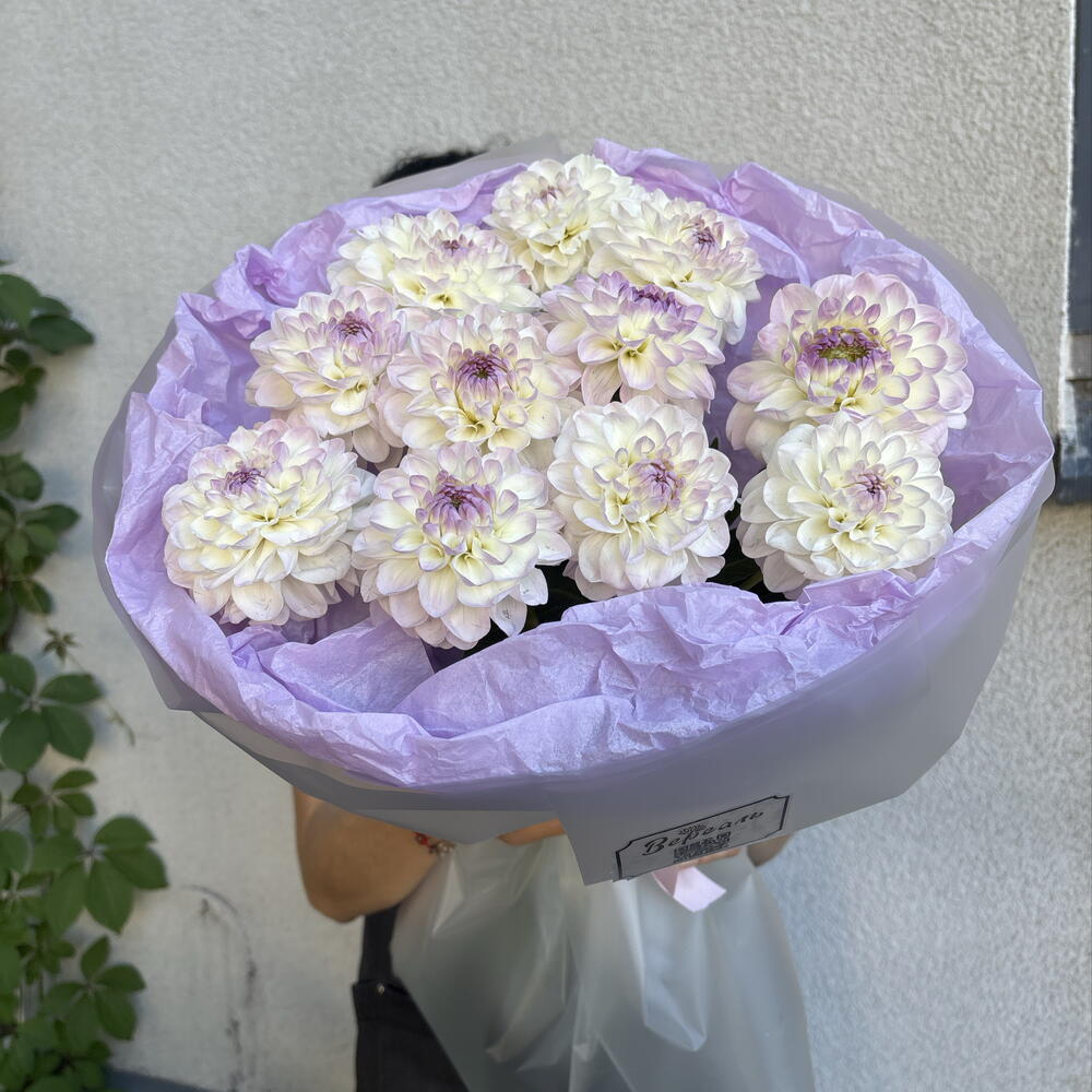 Букет нежных георгин