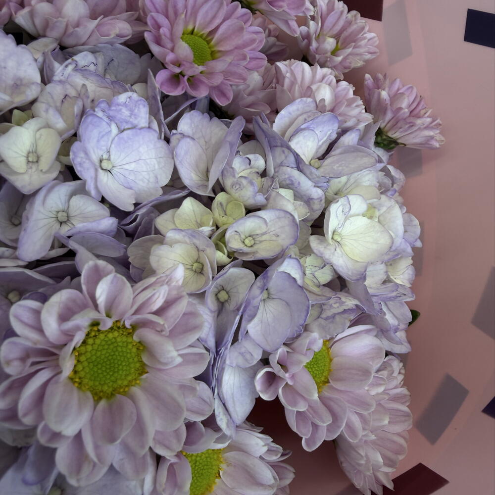 Нежный букет с гортензией и хризантемой «Pink confetti»
