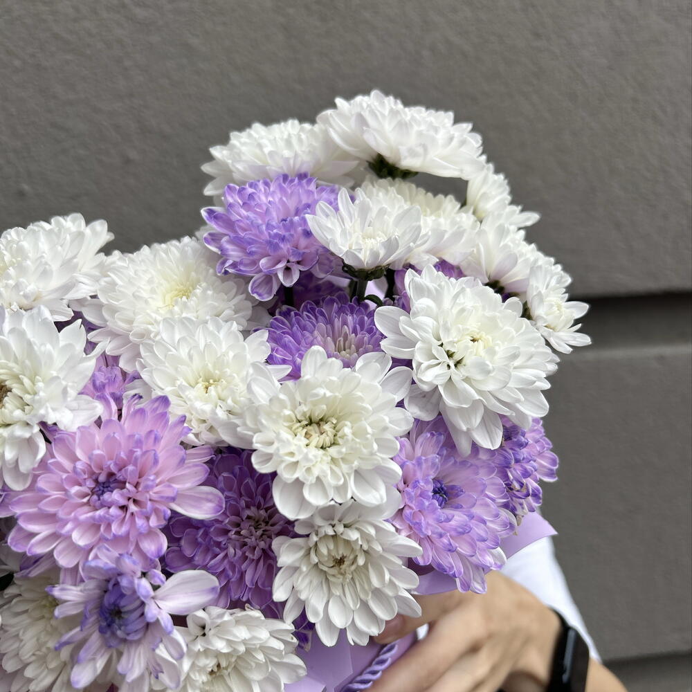 Композиция для школьника💜 подойдет и мальчику, и девочке 🩷 пушистая, стойкая хризантема «Алтай»