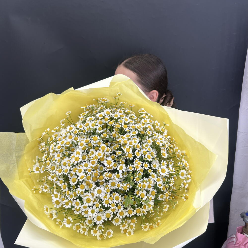 Ромашки дня