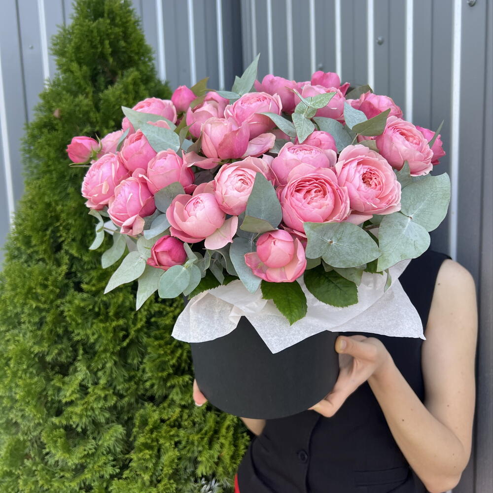Сильва 🌹