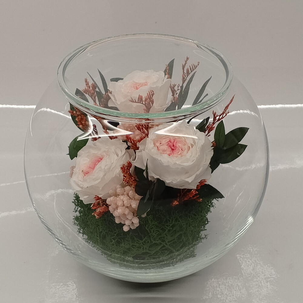 Натуральные пионы в стекле, вакуум (RF2.5770wp)
