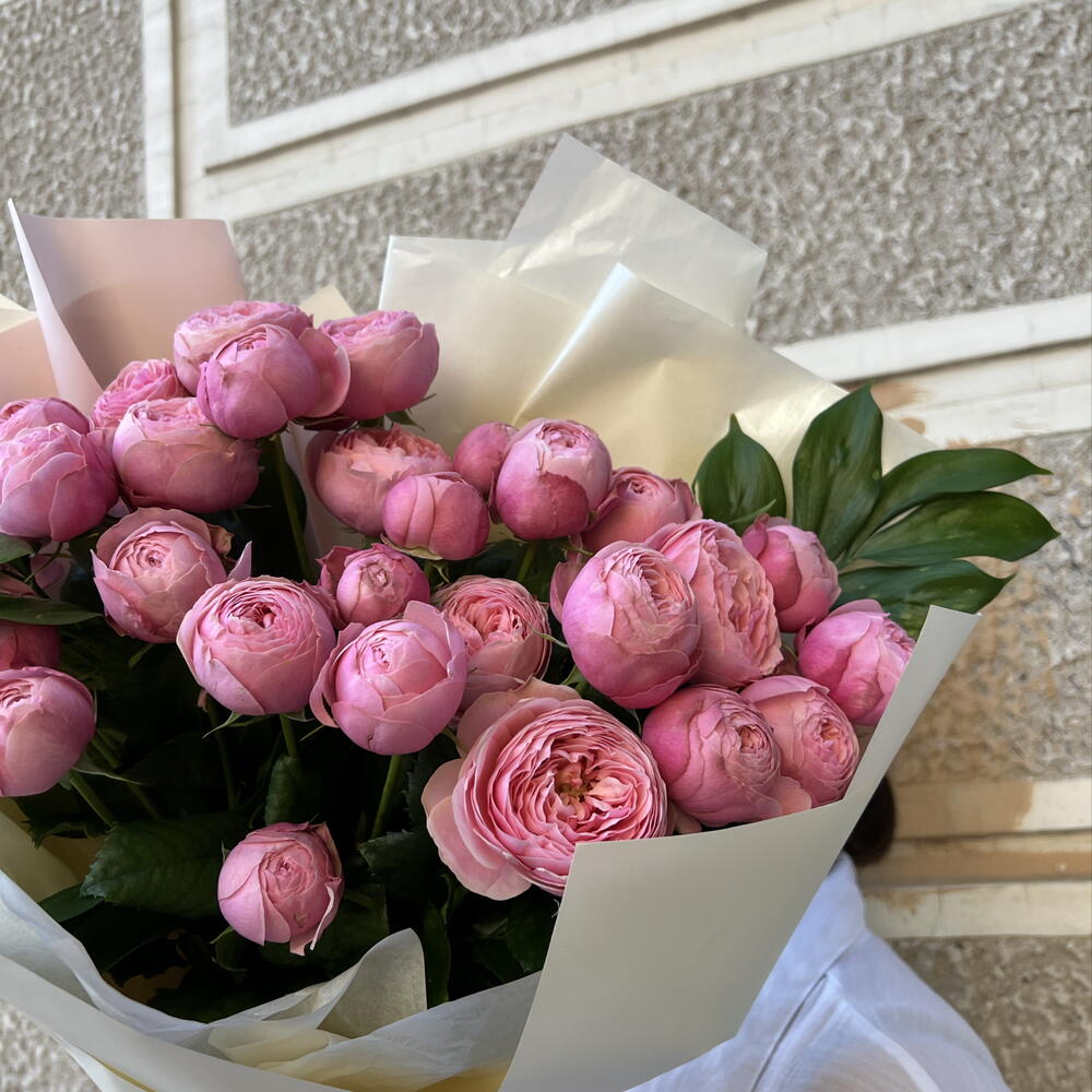 моно пионовидной кустовой розы 🌸