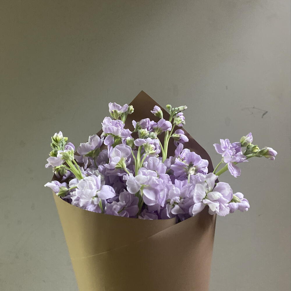 Кулек с маттиолой