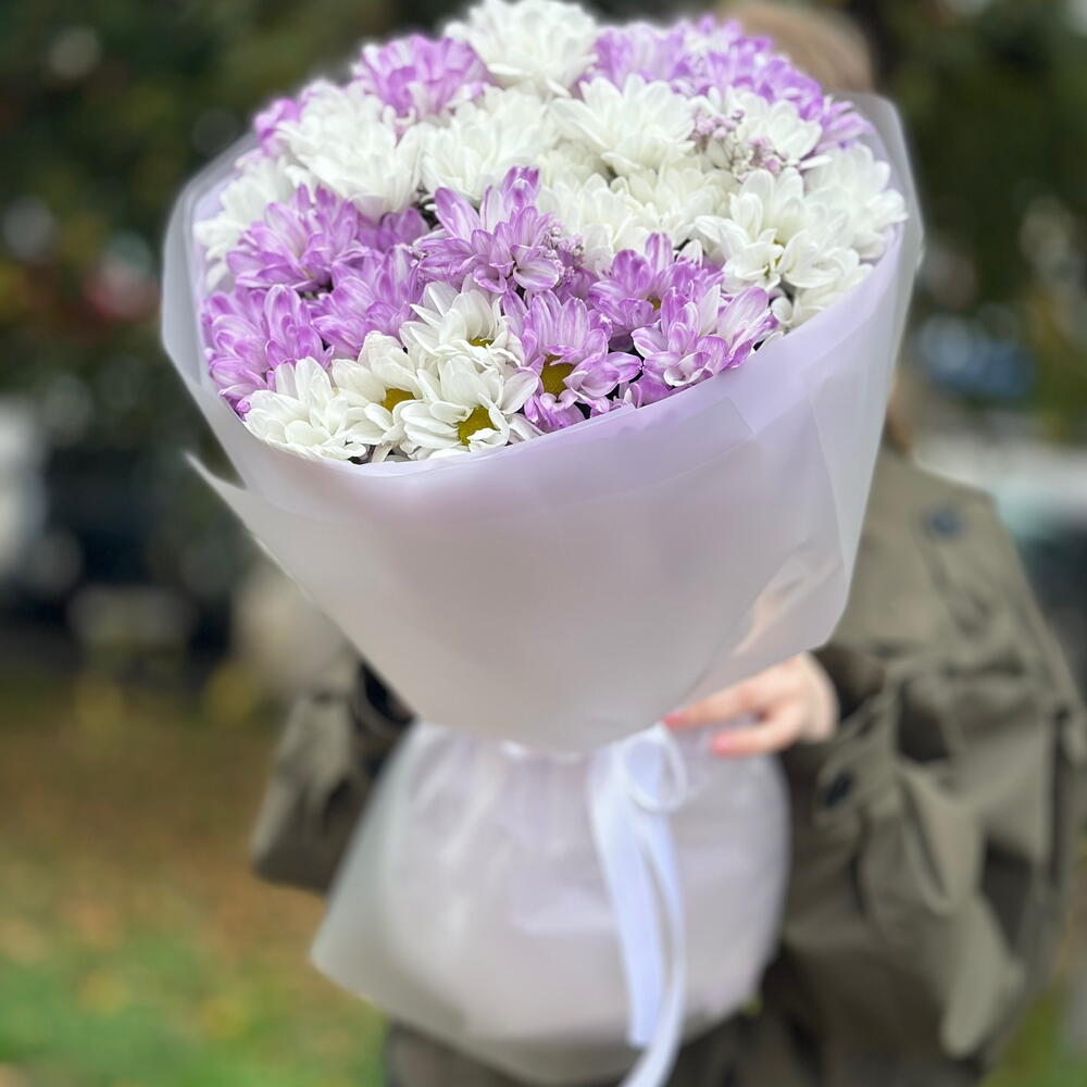 Лавандовые мечты