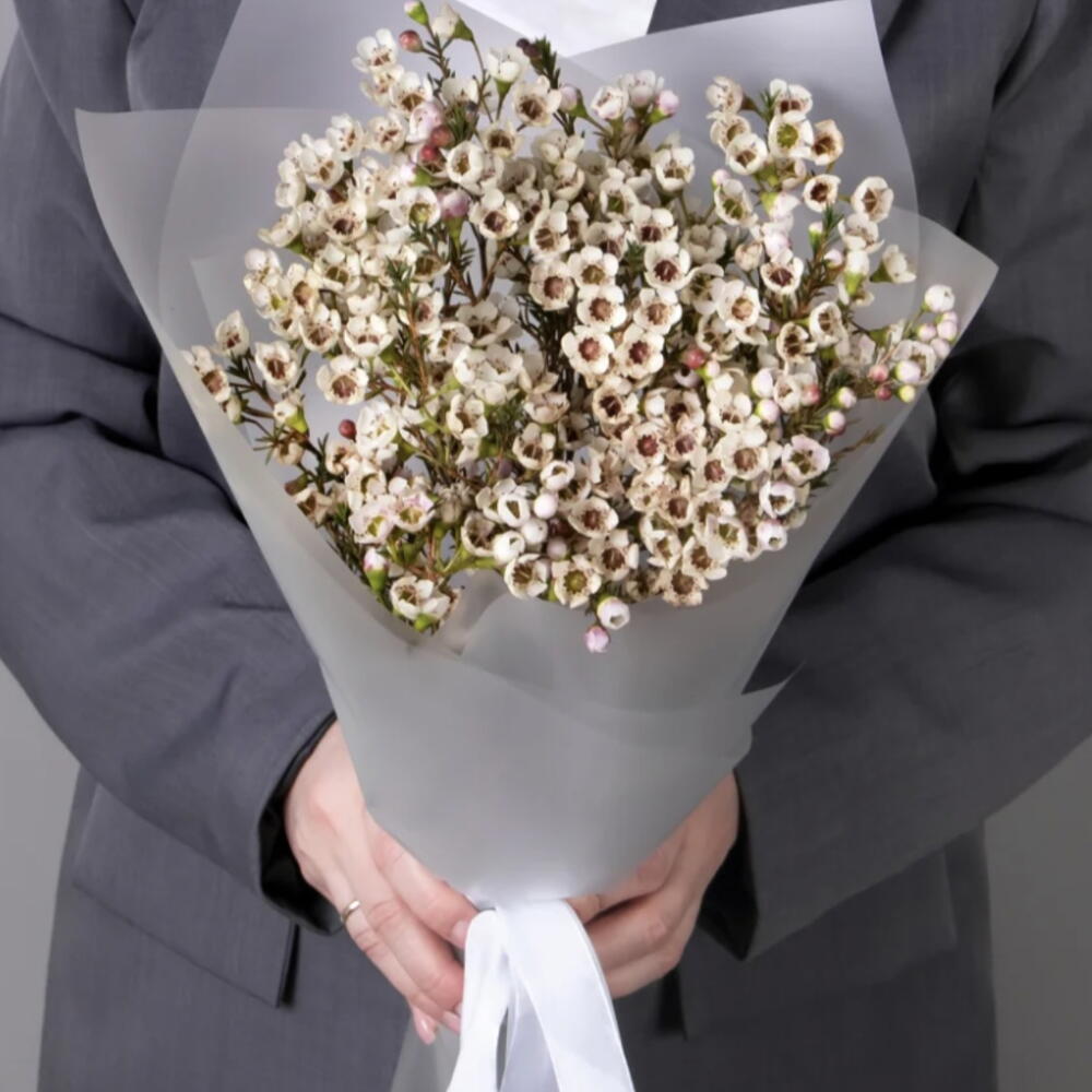 Хамелациум букет 🌺