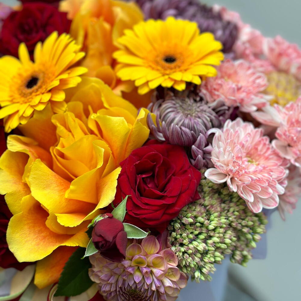 🌼 «Солнечный аккорд»