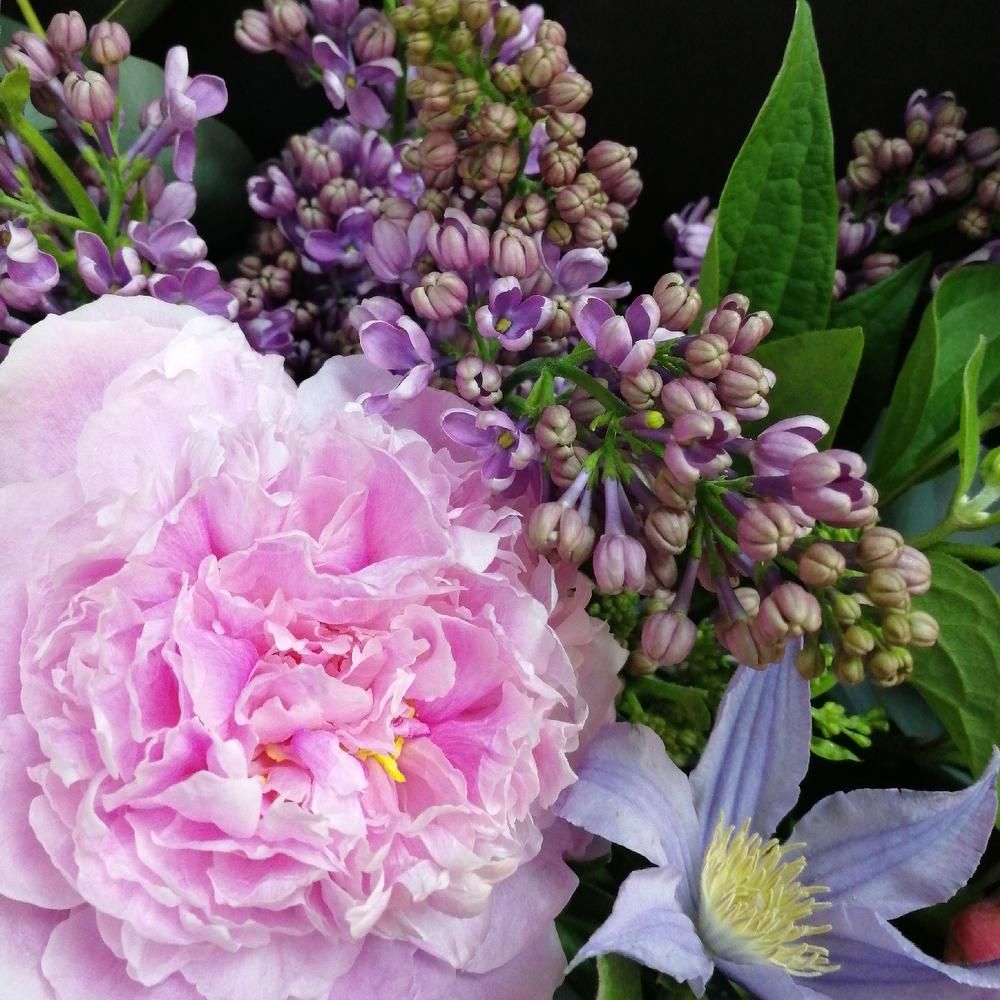 Bouquet