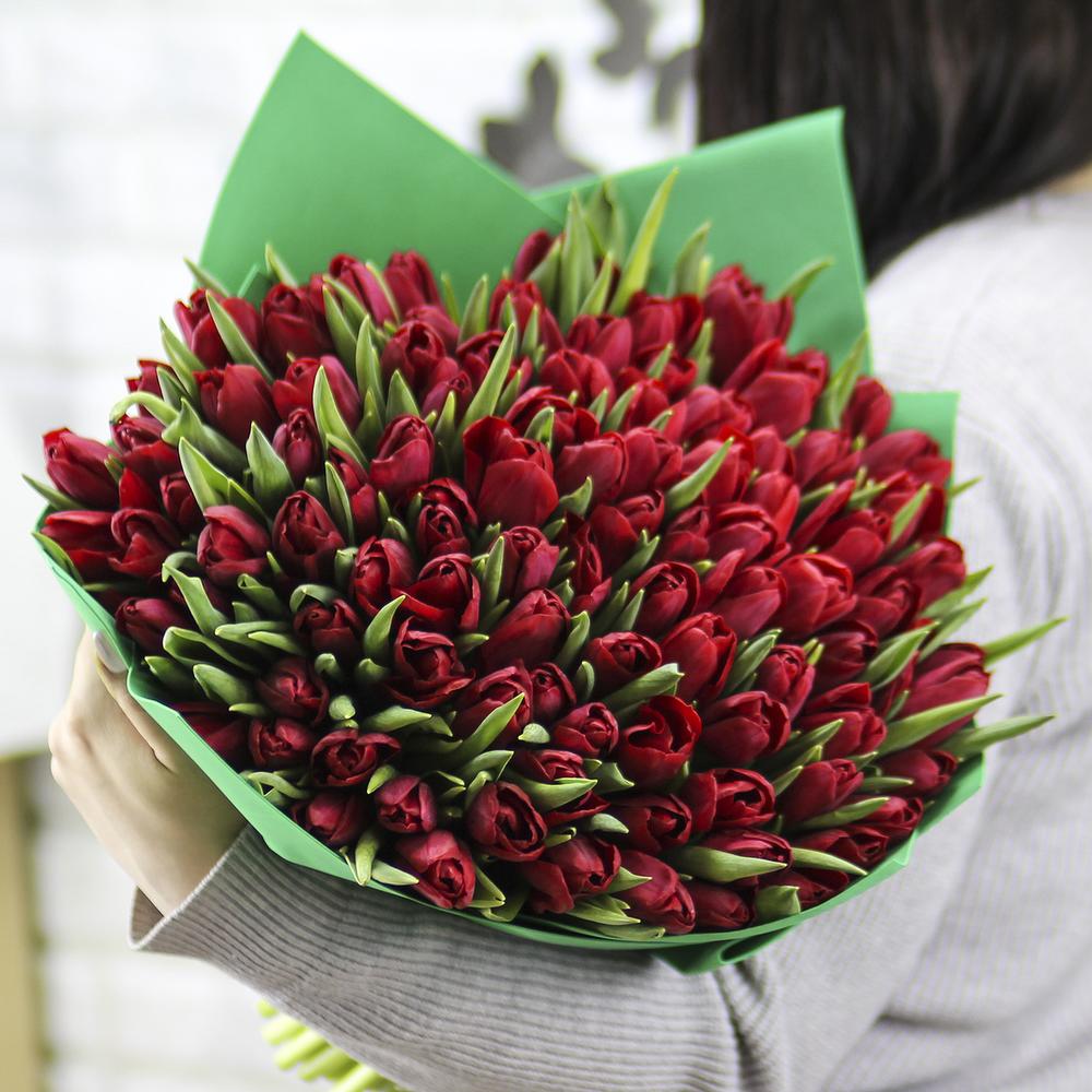 Тюльпан Красный Крокус