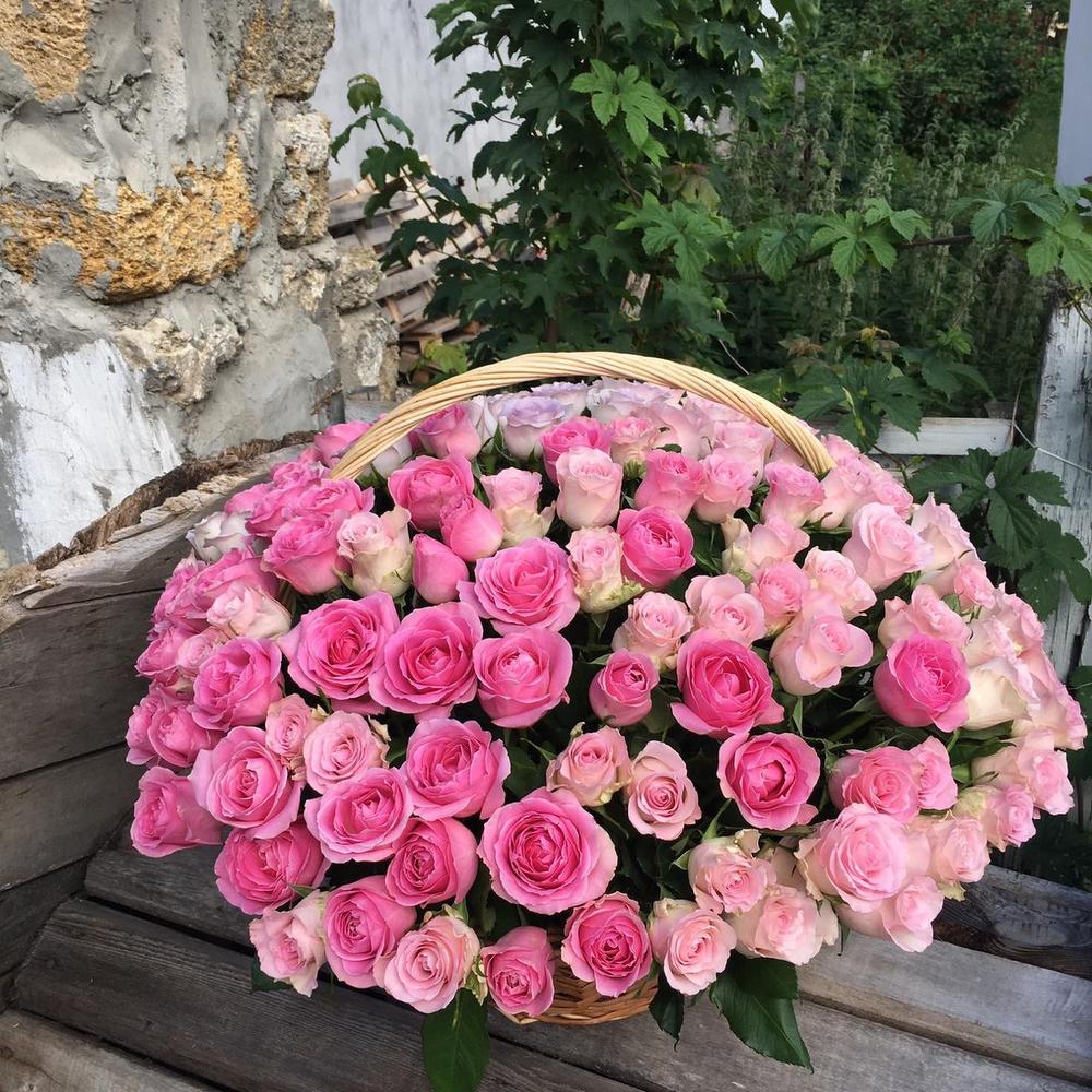 155 роз в корзине