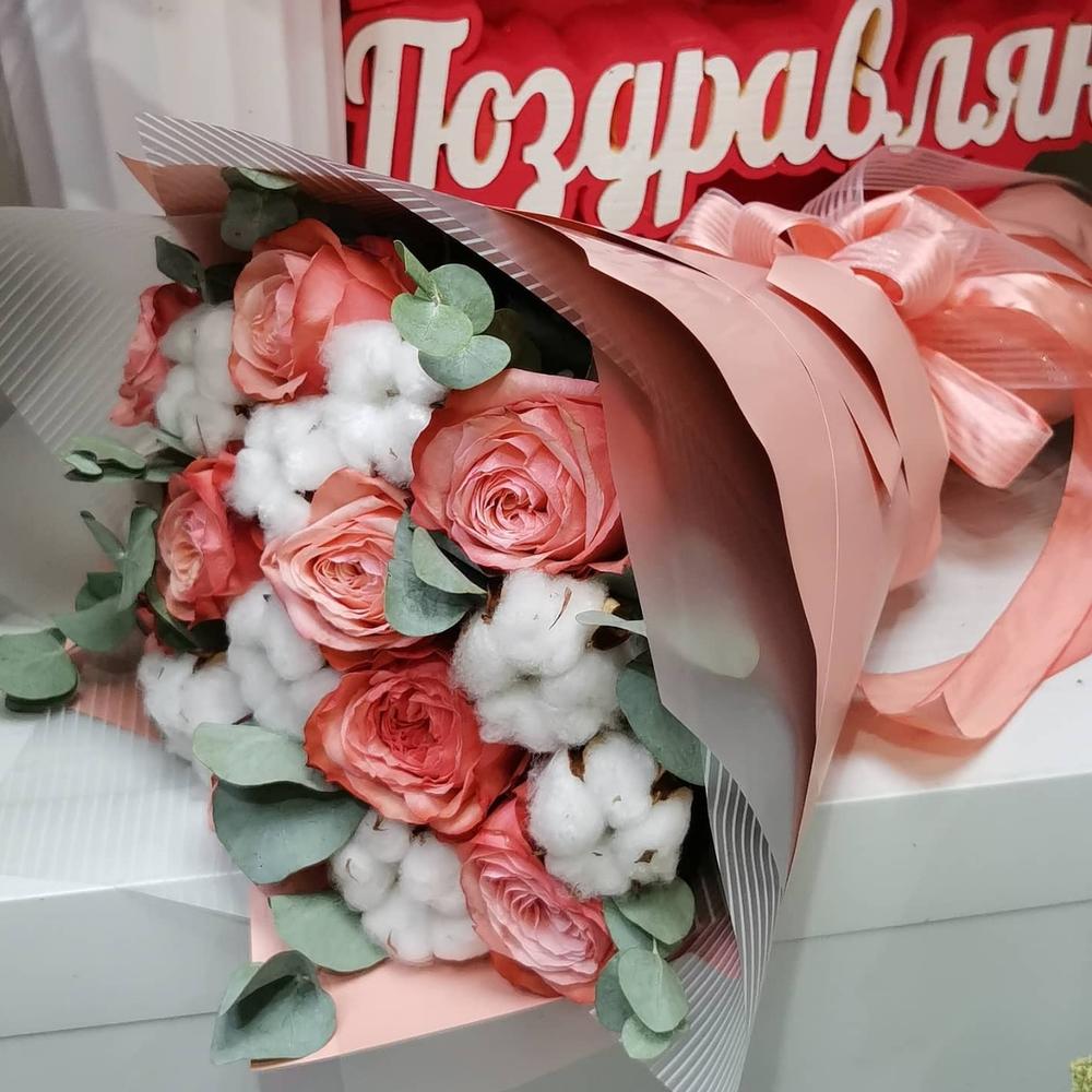Прованс
