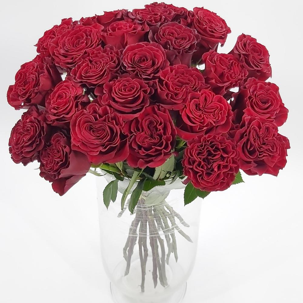 Роза Hearts 50см