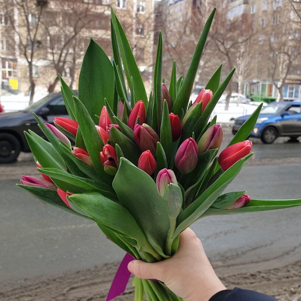 25 тюльпанов