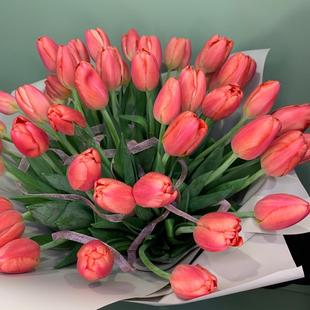 Тюльпан 51 ❣️