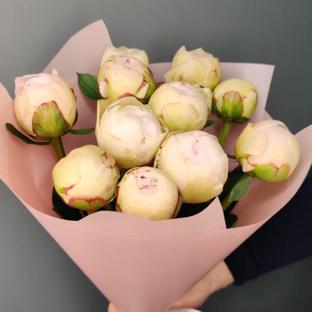 Кремовые пионы💟