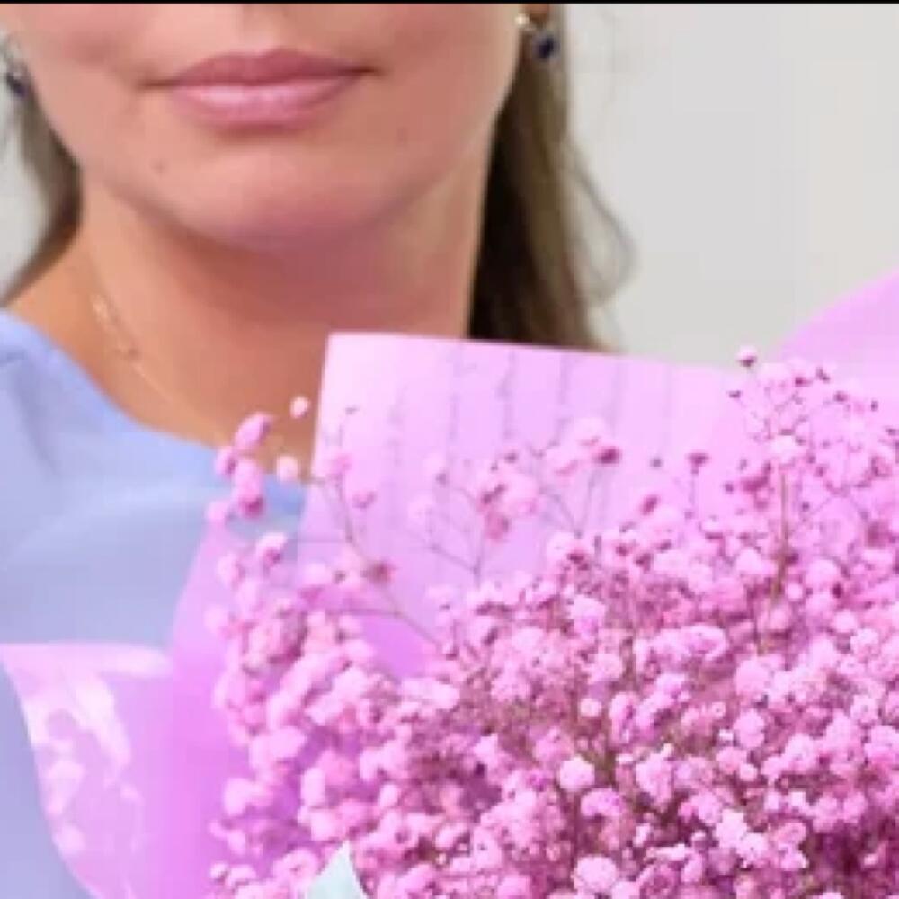 Nube rosa de gypsophila
