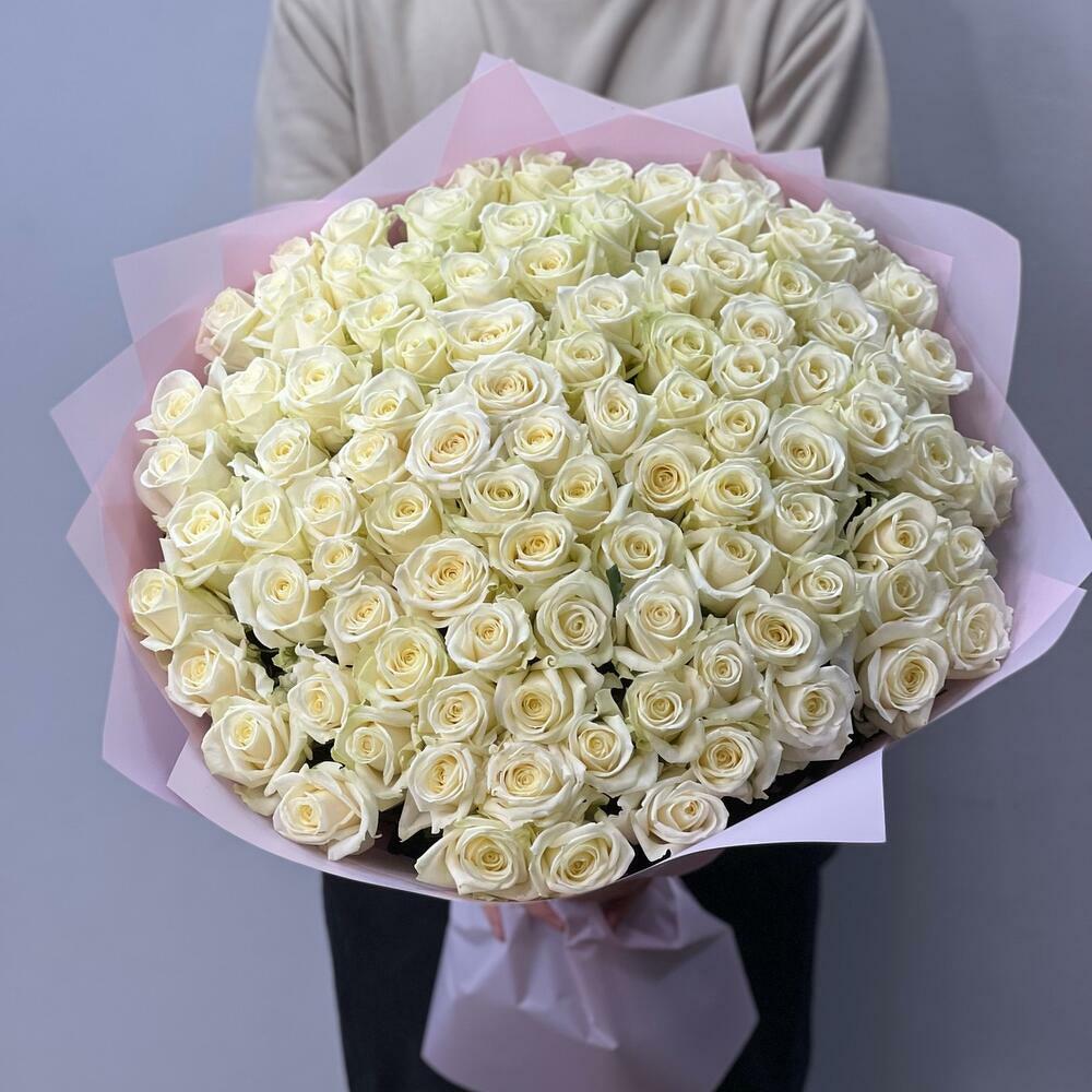 101 белая роза