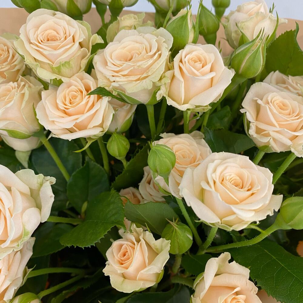 Букет из Кустовой розы, Цветы и подарки Тюмень, Тюменская область ...