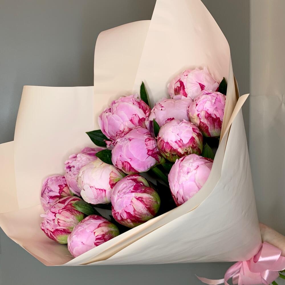 Peonies 13