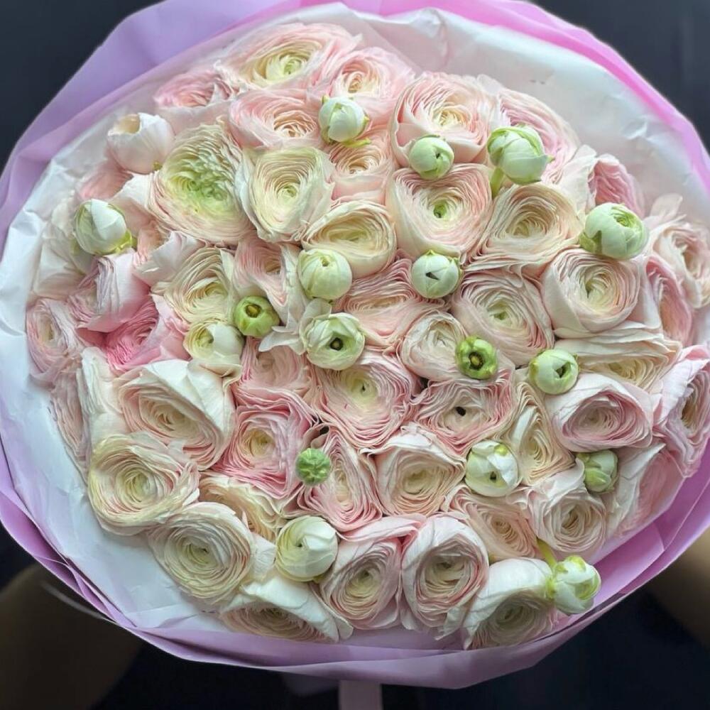 Ранункулюсы