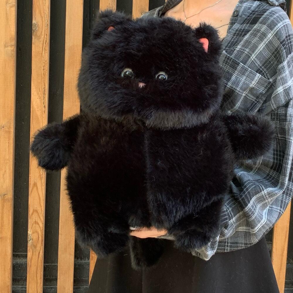 КОТ ЧЕРНЫЙ