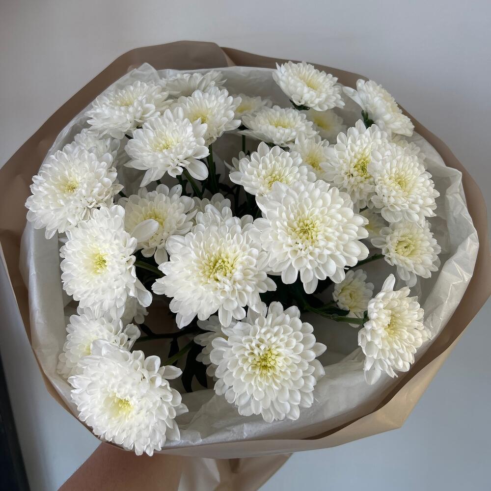 Белоснежный сон💐