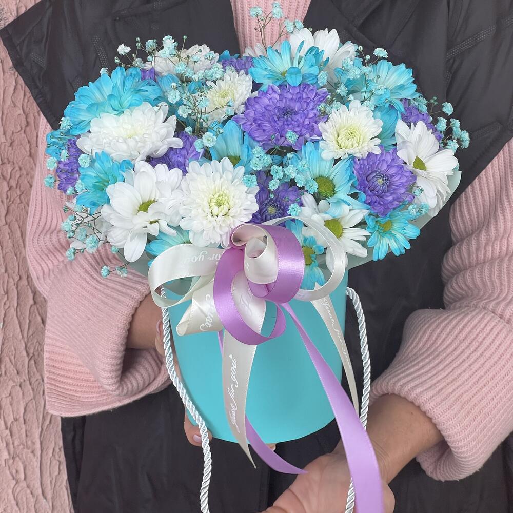 Хризантемы Голубое небо 💙🩵