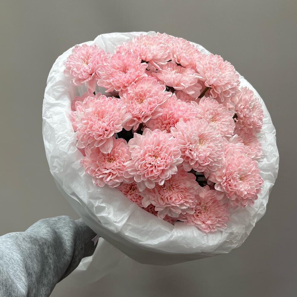 Моно из нежной хризантемы 🌸
