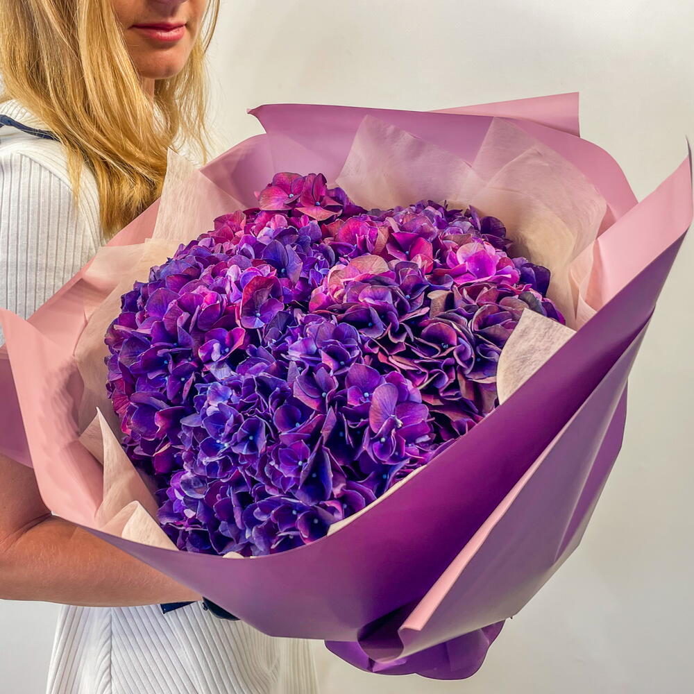 Lilac hydrangea