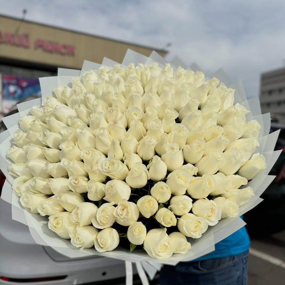 Белые розы