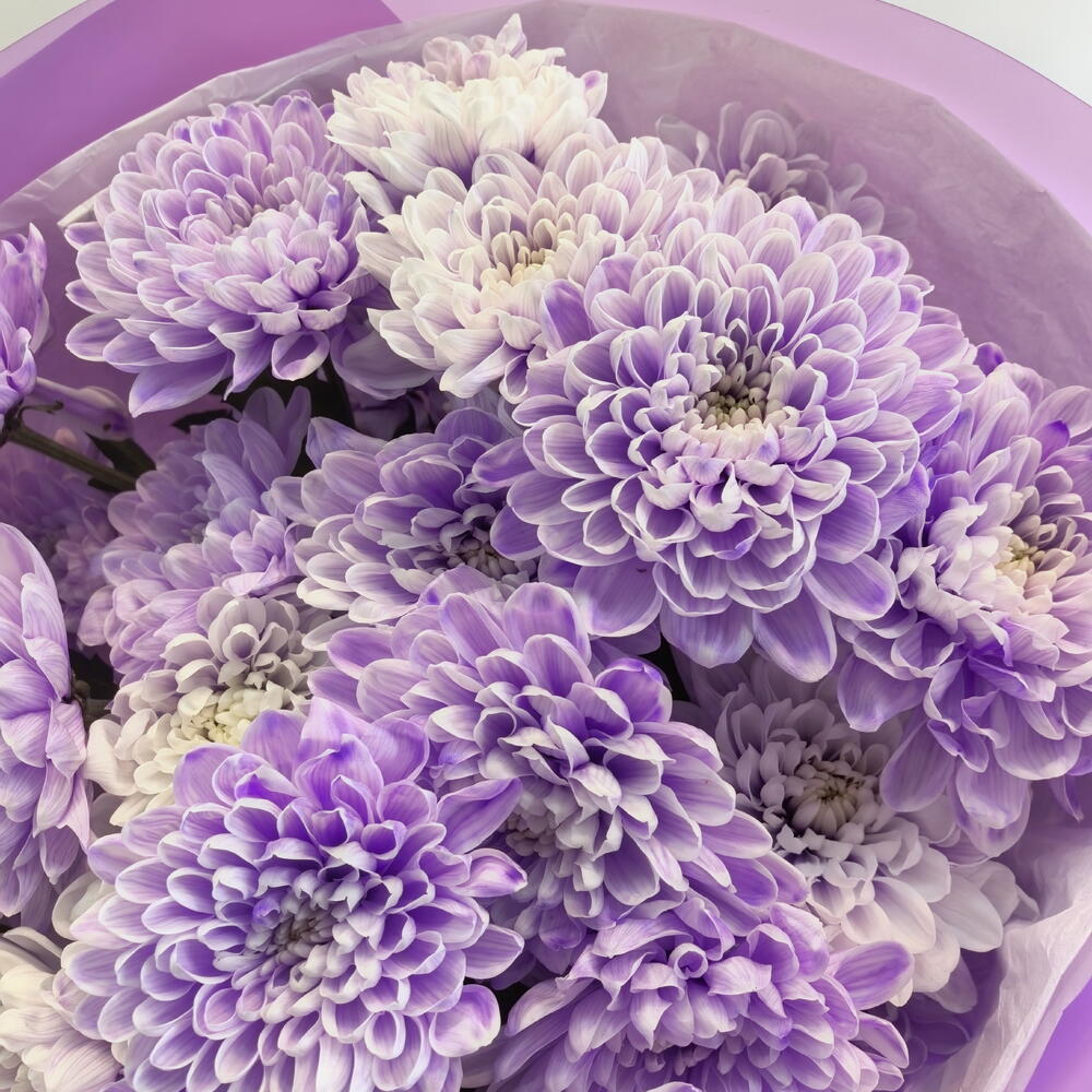 Букет хризантем 💜