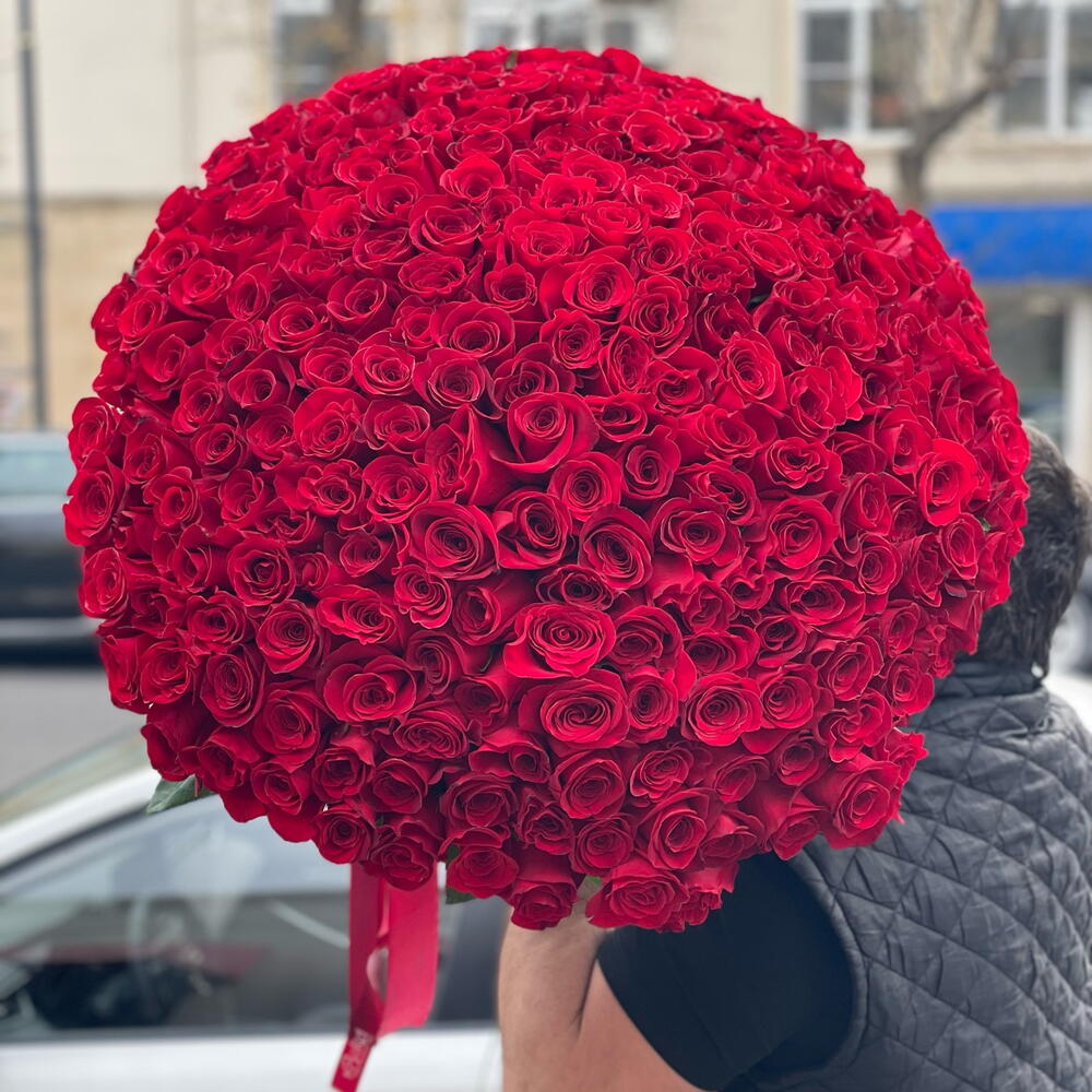 251 роз️‍🔥