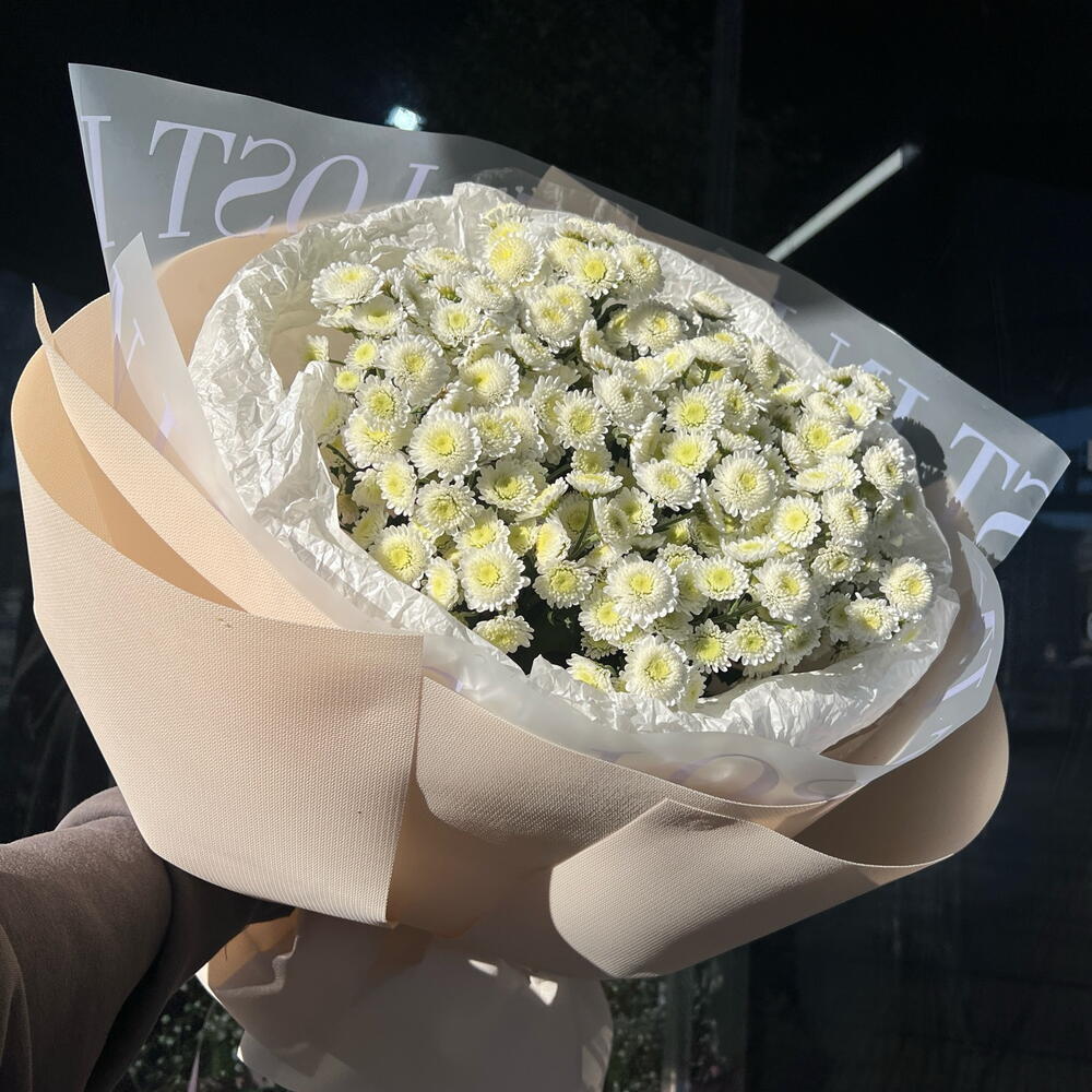 Букет ромашка Сталлион 💞